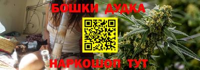 apvp Партизанск