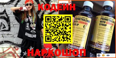 apvp Партизанск
