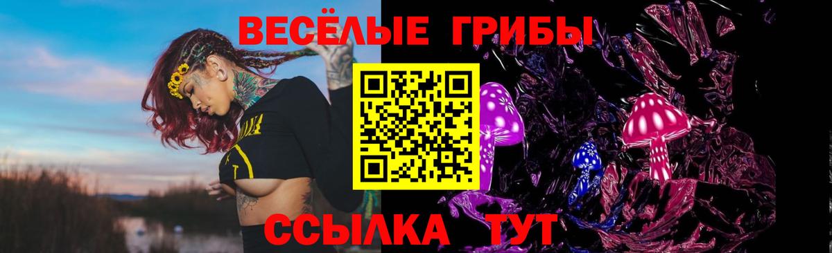 Галлюциногенные грибы GOLDEN TEACHER  Псилоцибиновые грибы Psilocybine cubensis  Туапсе  что такое наркотик  Вход с VPN 